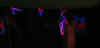 Kids4.jpg (29856 bytes)
