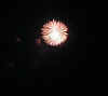 WhiteSeaUrchin.jpg (12807 bytes)