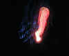 RedAndBlueMotion.JPG (59790 bytes)