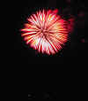 RedAndYellow.JPG (124683 bytes)