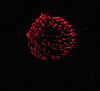 RedFireTexture.JPG (49324 bytes)