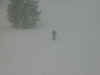 Whiteout2.jpg (13585 bytes)