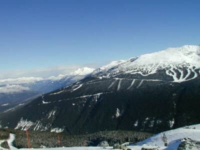BlackcombFromWhistler.jpg (16309 bytes)
