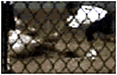Frame4CloseupStretched.jpg (95819 bytes)