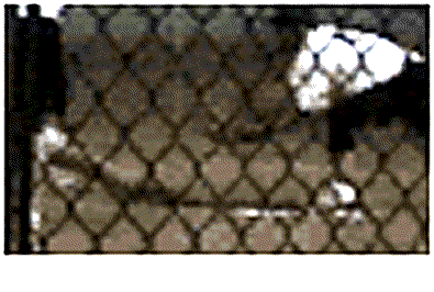 slide.gif (124963 bytes)